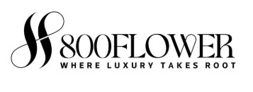 800 Flower Logo